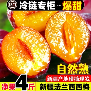 新疆正宗喀什伽师甜西梅法兰西新鲜水果鲜果熟了4斤顺丰空运直发