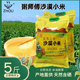 粥师傅沙漠小米新疆直发黄糯小米粥杂粮2.5公斤 喀什长寿之乡新米