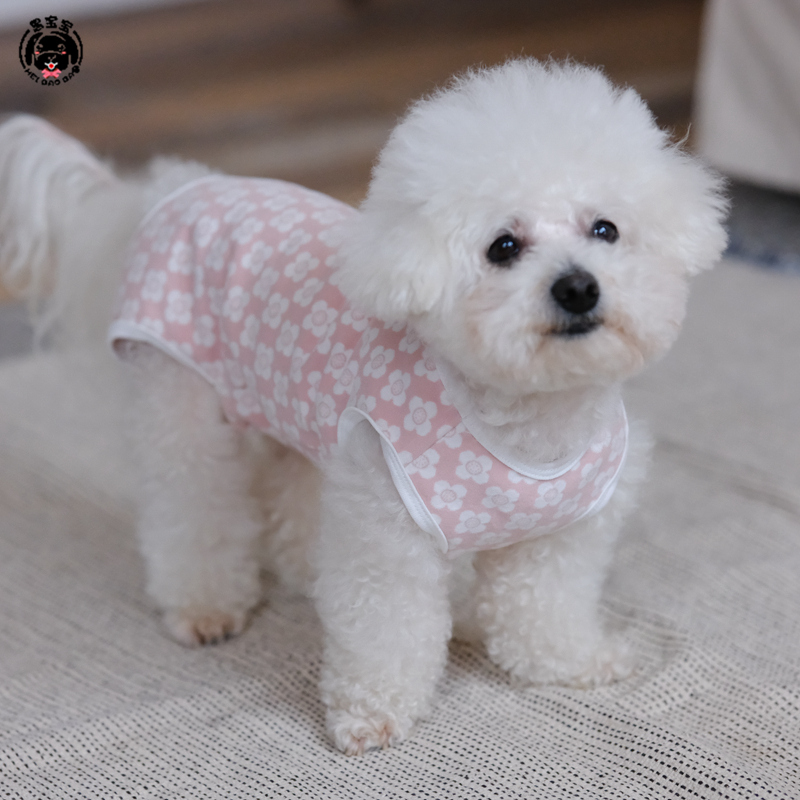 黑宝宝小狗狗全棉包肚子背心亲肤