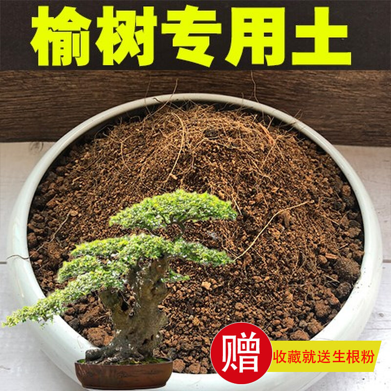 榆树专用土盆景土风化土赤玉土盆栽酸性泥炭红土壤营养土种植土
