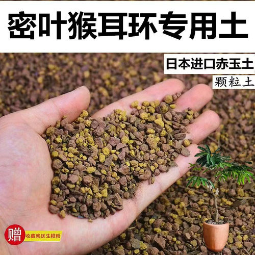 密叶猴耳环专用土赤玉土颗粒