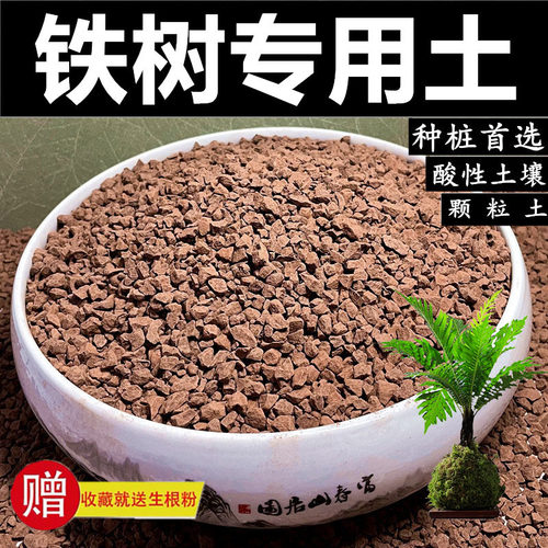 铁树专用土风化土酸性土赤玉土