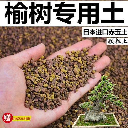 榆树盆景土风化颗粒土酸性种植土