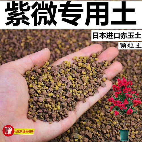 紫微专用土赤玉土风化土