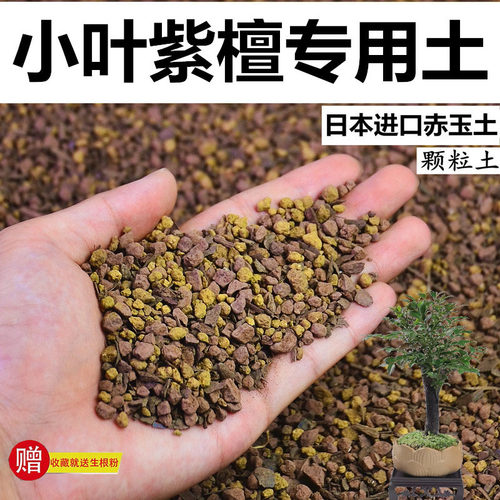 小叶紫檀专用土赤玉土酸性颗粒风化土孢菌营养粒营养土盆栽种植土