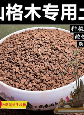 山格木专用土风化土颗粒土酸性土
