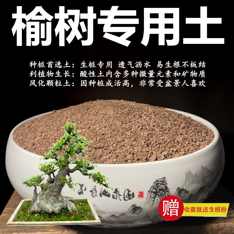 榆树专用土颗粒土风化土风化石营养土盆景土赤玉土酸性土种植土