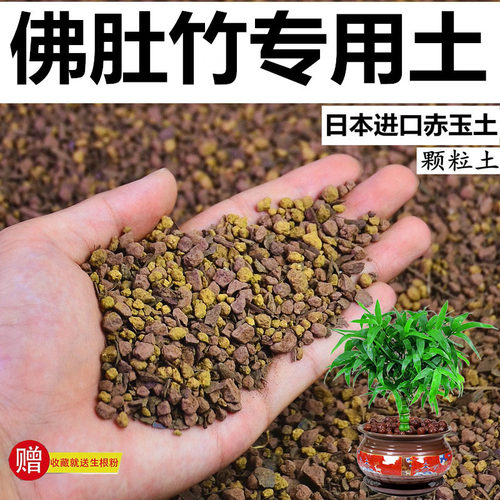 佛肚竹专用风化颗粒土酸性种植土