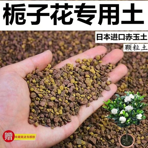 海岛栀子花土专用土赤玉土颗粒土风化土营养土盆景土种植土花卉土