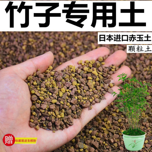 竹子专用风化颗粒土酸性种植土