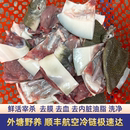 鮮活現(xiàn)殺外塘生態(tài)老甲魚純天然老鱉團(tuán)魚肉放血去皮去內(nèi)臟真空包裝