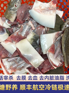 鲜活现杀外塘生态老甲鱼纯天然老鳖团鱼肉放血去皮去内脏真空包装