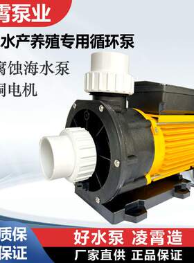 广东凌霄水泵TDA100海水泵养鱼泵塑料耐腐蚀泵泳池SPA循环泵