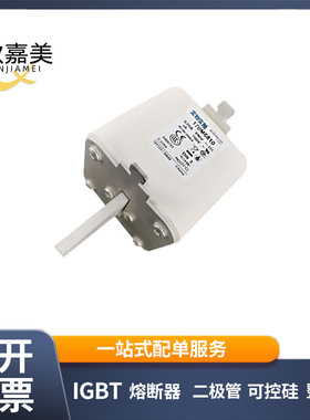 170M6810  170M6811 快速熔断器  保险丝 电子元器件 量大价优