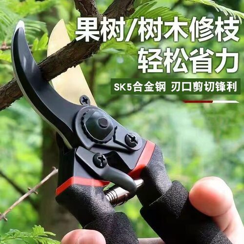 园艺修枝剪剪果树花枝工具剪
