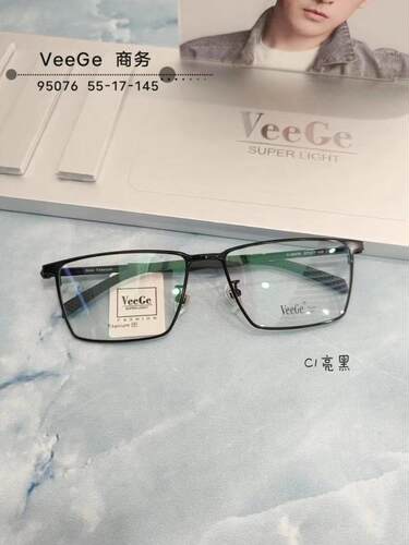 VeeGe纯钛多边形眼镜V格精品镜架近视镜架商务男款时尚V-95076