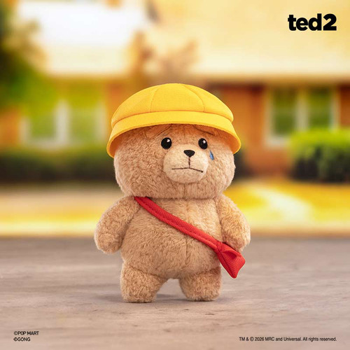 POPMART 泡泡玛特共鸣《Ted2》泰迪熊Baby Ted可动毛绒挂件盲盒