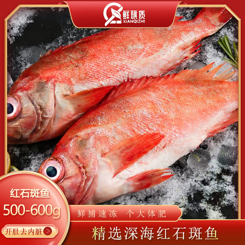 拍1发3开背红石斑鱼500-600g*3条野生鲜活冷冻去内脏大眼鱼虎头斑,水产肉类/新鲜蔬果/熟食,斑鱼,淘宝优惠券,粉丝福利购,淘宝优惠卷