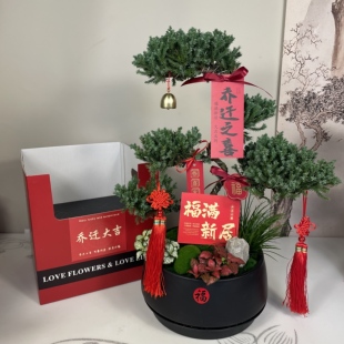 顺丰达五层塔松盆栽教师节祝寿盆栽开业乔迁生日送老师送领导盆景