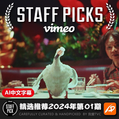 2024年VIMEO STAFF PICKS官方精选视频升级版第01期 AI字幕