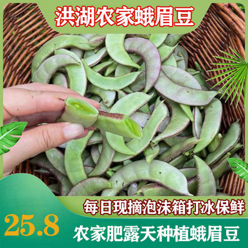 小米农家红扁豆新鲜现摘现发