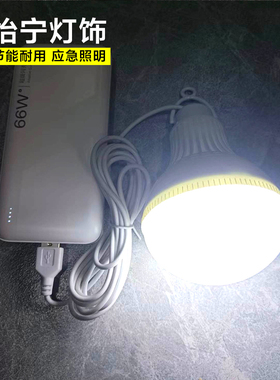 usb灯led节能灯野营户外应急强光移动电源充电宝5v灯泡带开关60w