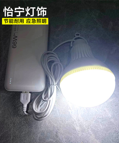 5vUSB插口led应急灯泡摆地摊