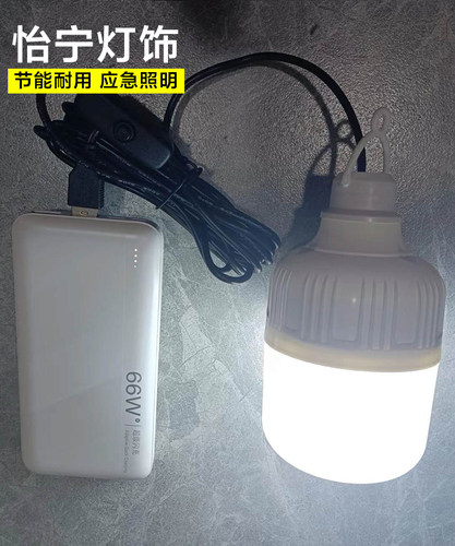 USB接口led灯充电宝照明夜市摆摊