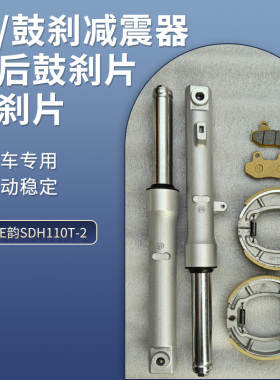 适用新大洲本田E韵110摩托车E影SDH110T-2-6-8碟刹鼓刹减震器前叉