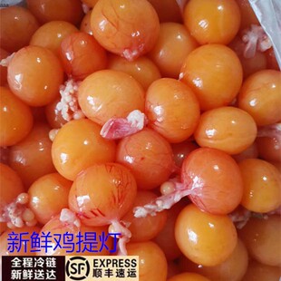 新鲜未冷冻蛋黄 烧鸟提灯 新鲜鸡提灯 烧鸟串 爆汁爆浆 日式烧鸟
