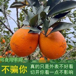 赣南脐橙花皮果二级果丑橙榨汁橙10/20斤装不介意外表可拍
