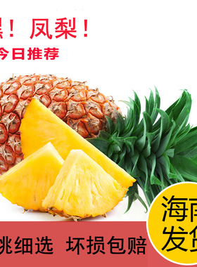 正宗海南金钻凤梨新鲜水果当季水果5斤树上熟现摘现发台湾17包邮