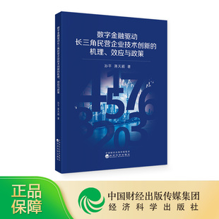 机理 数字金融驱动长三角民营企业技术创新 效应与政策 孙平 蒋天颖