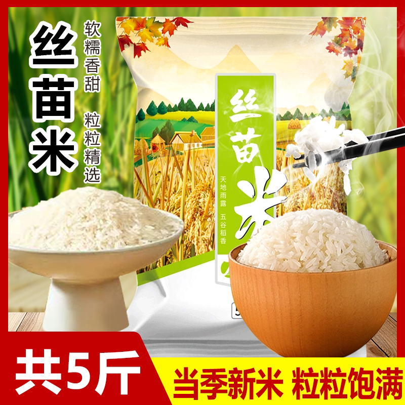 新米猫牙米农家晚稻香米长粒大米新鲜丝苗米煲仔饭米蛋炒饭煮粥米