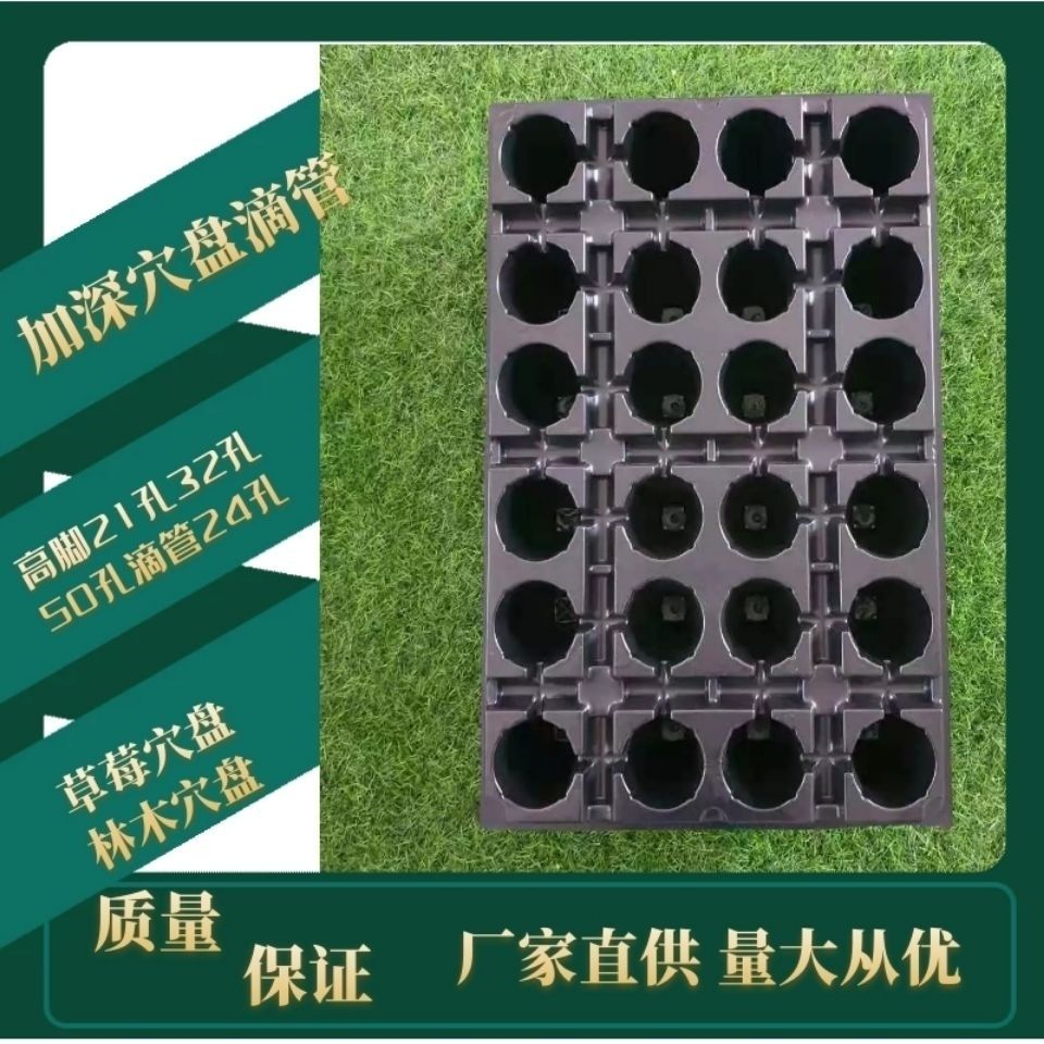 草莓专用育苗穴盘 草莓滴灌带穴育苗盘/营养钵