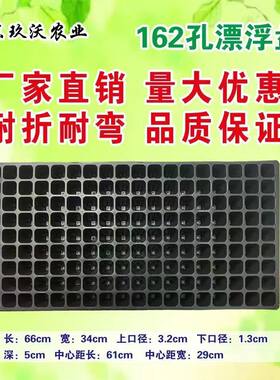 育苗穴盘162孔漂浮盘套盘泡沫盘套盘耐折耐弯抗老化泡沫育苗盘
