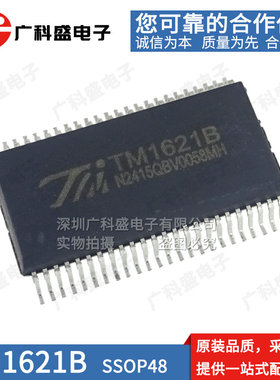 全新原装 TM1621B SSOP48 液晶驱动芯片ic兼容替代HT1621B HK AIP