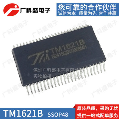 全新原装 TM1621B SSOP48 液晶驱动芯片ic兼容替代HT1621B HK AIP