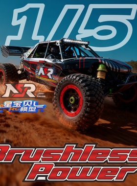 NSR沙漠卡新款 1/5 5XL-E RC超大成人专业遥控车四驱攀爬高速赛车