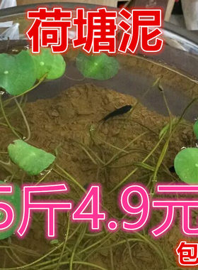 塘泥睡莲专用大包荷花水生植物