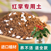 红掌专用土白掌粉掌通用营养土花泥种植土花烛土壤进口泥炭土肥料