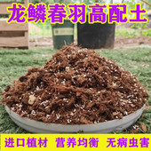 龙鳞春羽专用土办公室家庭盆栽营养土进口泥炭土椰壳配方土壤肥料