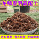 龙鳞春羽专用土办公室家庭盆栽营养土进口泥炭土椰壳配方土壤肥料