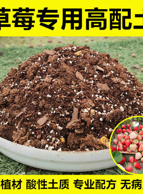 草莓专用土进口植材无病虫害