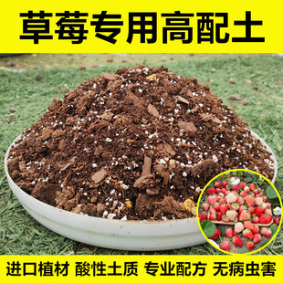 草莓专用土营养土阳台盆栽种植土微酸性土壤进口泥炭土配方土肥料