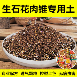 生石花肉锥专用土番杏科多肉通用颗粒土毛汉尼灯泡pp配方土营养土