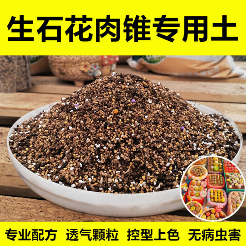 生石花肉锥专用配方土透气透水