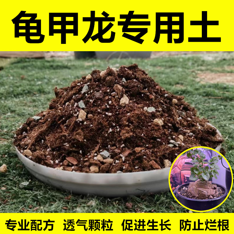 龟甲龙专用颗粒土疏松透气不烂根