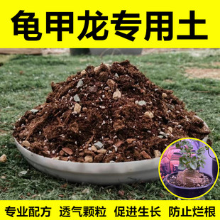 龟甲龙专用土南非爬藤块根植物盆栽营养土花卉绿植种植颗粒土肥料