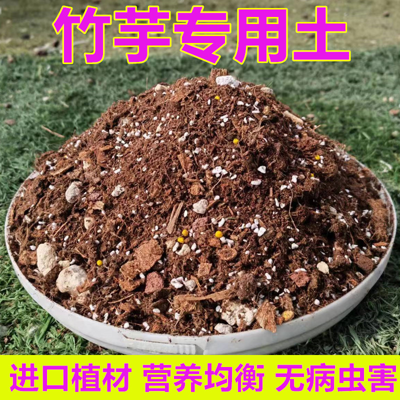 竹芋专用土孔雀飞羽油画彩叶竹芋通用型营养土室内盆栽种植土肥料-封面